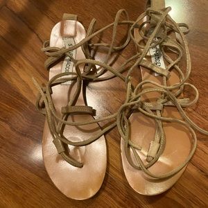 Steve madden gladiator sandals